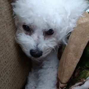 Meet your Posher, Jalene